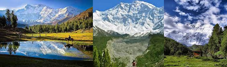 Nanga Parbat Raikot Face Trek
